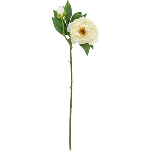 Bloomingville Изкуствено цвете (височина 62 cm) Peony - Bloomingville (82072839)