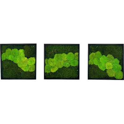 Mechové obrazy TRIO Q Velikost: 30x30cm