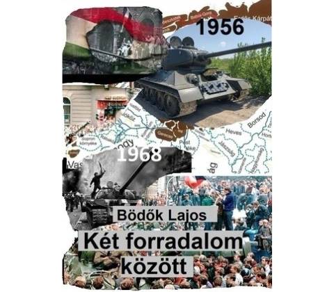 Két forradalom között