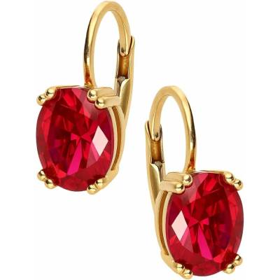Zlaton Náušnice žluté zlato visací s kamenem osazené zirkony 1.4cm 3.85g O16052505411