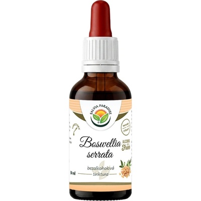 Salvia Paradise Boswellia serrata Kadidlovník AF tinktura 50 ml