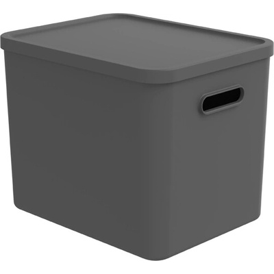 Rotho Úložný box, rovný s vekom, 27 l antracit Albu light 37 x 29 x 30 cm