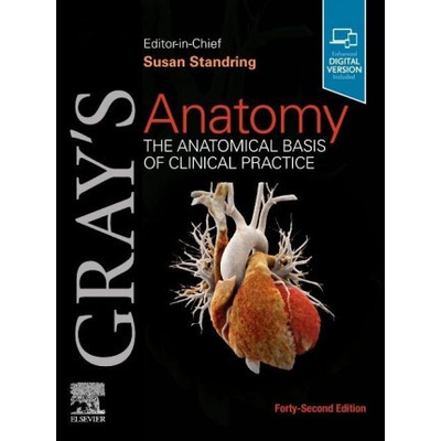 Grays Anatomy