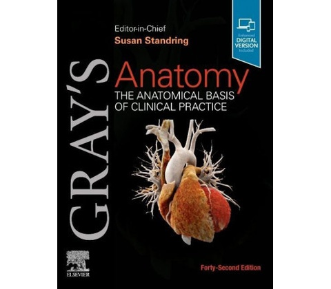 Grays Anatomy