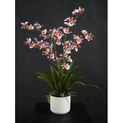 ILA Umělá rostlina Orchidej "Dancing" (70cm) - růžová