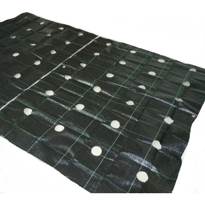 Agro-cover Agrotextilie mulčovací černá 160 cm x 500 cm 95 g/m²