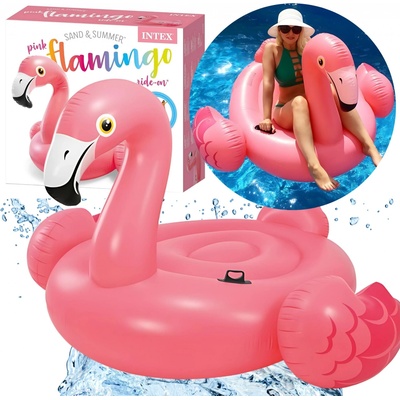 Intex 57558 – Zboží Mobilmania