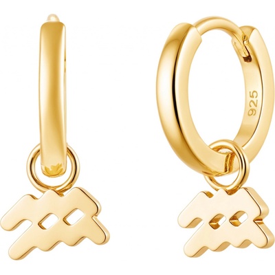 Olivie Stříbrné náušnice VODNÁŘ GOLD 9597