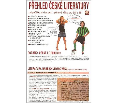 Přehled české literatury