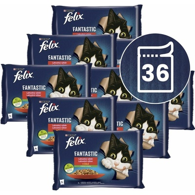 Felix Fantastic kuře hovězí 36 x 85 g