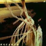 Universal Kinsley Sarah: Escaper - CD (075855)
