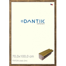 DANTIK rám na obraz 70x100 | TRITON zlatá (Plexi Čiré)