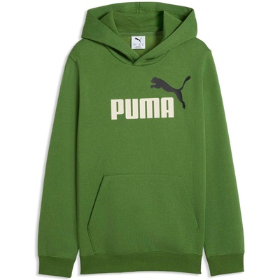 Puma Essentials 2 Color No. 1 Logo Hoodie FL B zelená