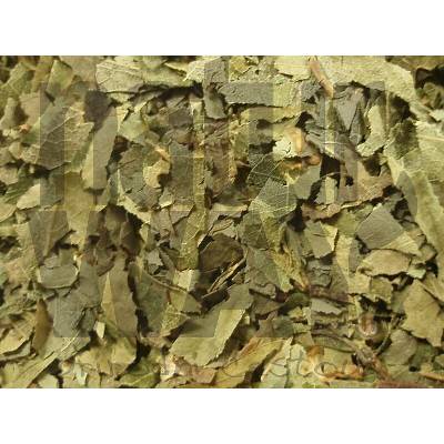 Bylinná lékárna Bříza list Betulae folium 100 g
