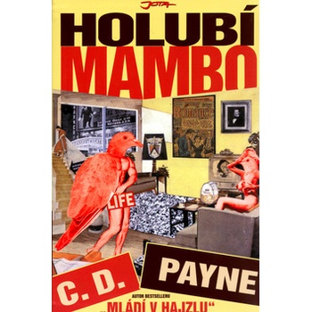 Holubí mambo - D. Payne C.