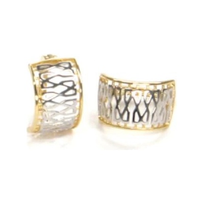 Pattic bicolor GU488904