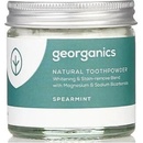 georganics Zubní pasta plná minerálů Spearmint 60 ml