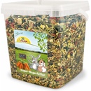 JR Farm FARM SUPER krmivo vedierko 2.5 kg
