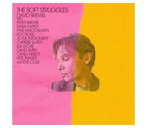 BREWIS, DAVID - SOFT STRUGGLES CD