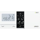 ENGO E901
