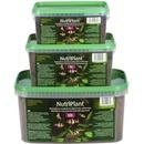 Diversa NutriPlant 5 l
