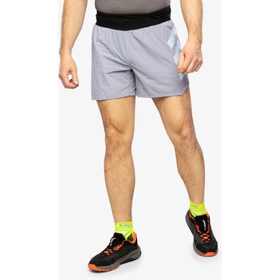 adidas TERREX Agravic Pro Trail Running shorts silver violet