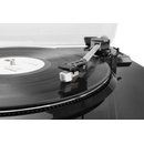 Audizio RP310