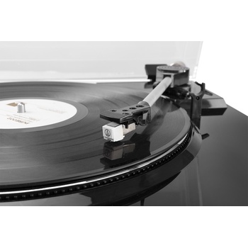 Audizio RP310