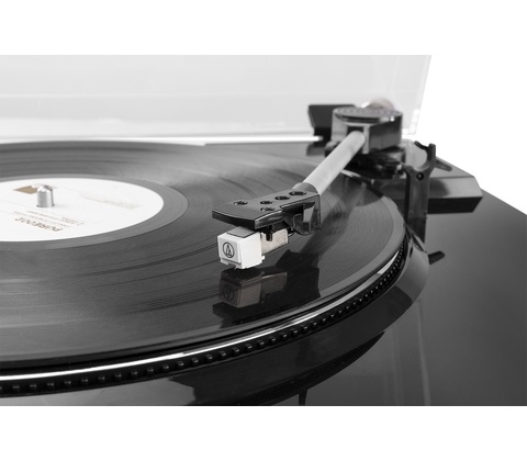 Audizio RP310
