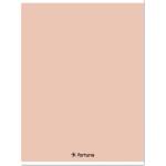 Fortuna Тетрадка с квадратчета FORTUNA Monocolor A/4 32 листа 87-32 пастелна праскова 01.08656 (01.08656)