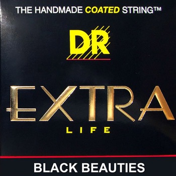 DR Strings BKB5-45