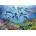 Educa - Puzzle Party under the sea - 500 piese