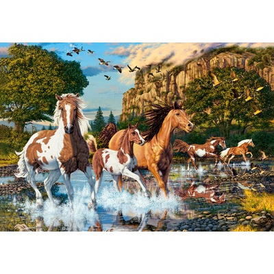 Castorland Země koní 1000 dílků