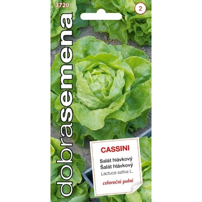ŠALÁT HLÁVKOVÝ CASSINI 0,4g