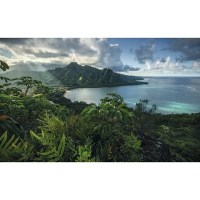 SHX9-117 Fototapeta vliesová Jurassic Island rozměry 450x280 cm
