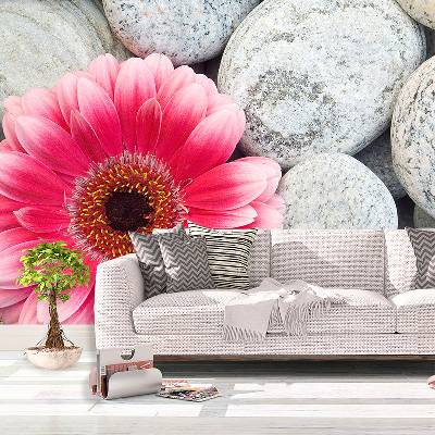 Tapeta SABLIO Gerbera na kamenech, rozměry 336x220 cm