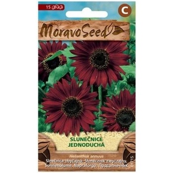Semená slnečnice jednoročná, červená, 15 s