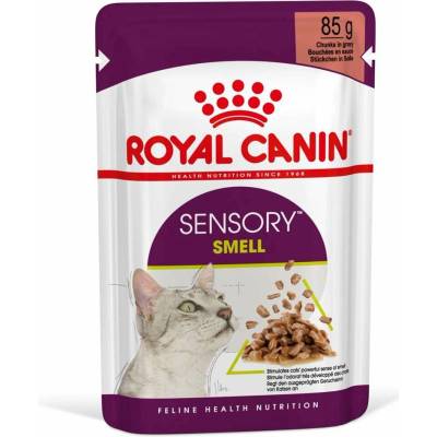 Royal Canin Sensory Smell Gravy 12 × 85 g