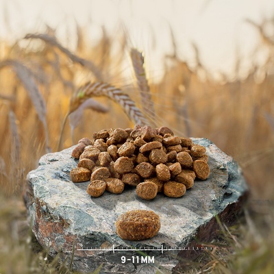 Purizon Adult Sterilised Ancient Grain kuracie s rybou 2 x 6,5 kg