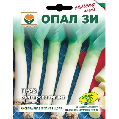 Opal Zi Праз Български гигант