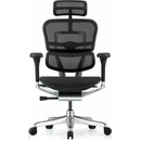 Antares Ergohuman Elite 2