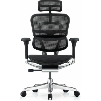 Antares Ergohuman Elite 2