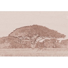 Dimex L-317 vliesová fototapeta acacia,maľba,hnedá rozmery 220 x 220 cm