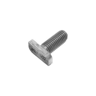 Různí výrobci Šroub T s plochou hlavou M10x25 A2 ST10/25 – Sleviste.cz