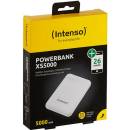 Intenso 7313522