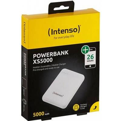 Intenso 7313522