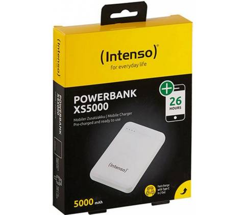 Intenso 7313522