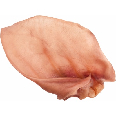 JK ANIMALS Velké sušené vepřové ucho 1 x 40 g