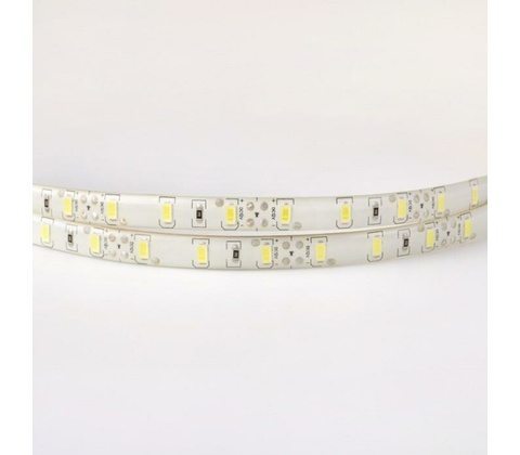 ECOLIGHT EC79650