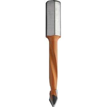 IGM C36808011